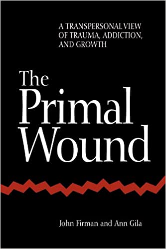 The Primal Wound: A Transpersonal View of Trauma, Addiction, and Growth (S U N Y Series in the Philosophy of Psychology) First Edition (paid link)