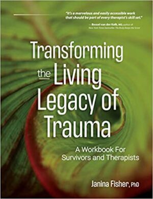 Trauma Transformation Workbook