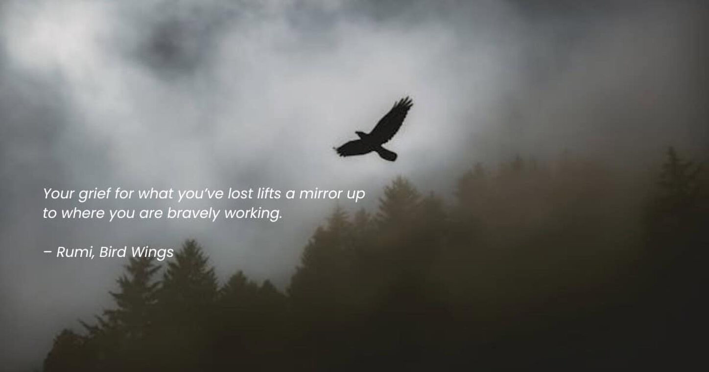 Bird soar fsa healing